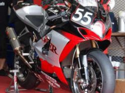 �졼���ѹ���ǽ��ѿ塡��ץ��ȡ�RUPLANT��