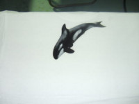 ��Ⱦ����������ڥ���ȡ������֥饷���Ρ�ͭ�²�Ҿ�ë����Ź