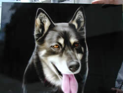 �ե꡼�ϥ�ɡ���������±�δ������ʤǤ�����ǥ�����Ҥ��ָ��������ȥ���ɤǤ���