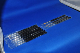 ǥơޥ꡼֥饷ץǥե奢ΥڥȤ