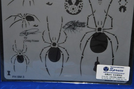 ���ͥ��ȴ��ġ��ƥ�ץ졼�ȡʥ�������ڥ���ȡ��������֥饷�ˡ����ѥ������ޥ��������μ̿�