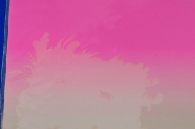 ͥȴġͥ륹ƥ󥷥ʥ֥饷ˡΣӡݣӣģμ̿