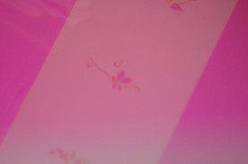 ͥȴġͥ륹ƥ󥷥ʥ֥饷ˡΣӡݣӣģμ̿