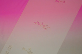 ͥȴġͥ륹ƥ󥷥ʥ֥饷ˡΣӡݣӣģμ̿
