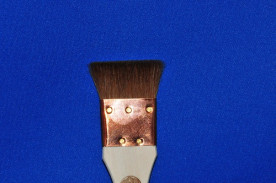 �ȥ�ߥ󥰥֥饷����������ǯ�����ʥȥ�ߥ󥰥֥饷�����澦�����μ̿�