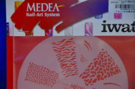 ���ͥ��ȴ��ġ��ͥ��륹�ƥ󥷥�ʥ������֥饷�ˡ��Σ��ӣ��������μ̿�