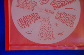 ���ͥ��ȴ��ġ��ͥ��륹�ƥ󥷥�ʥ������֥饷�ˡ��Σ��ӣ��������μ̿�