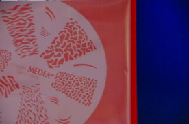 ���ͥ��ȴ��ġ��ͥ��륹�ƥ󥷥�ʥ������֥饷�ˡ��Σ��ӣ��������μ̿�