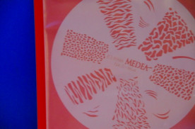 ���ͥ��ȴ��ġ��ͥ��륹�ƥ󥷥�ʥ������֥饷�ˡ��Σ��ӣ��������μ̿�