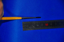 ������֥饷����������ǯ�����ʣӣɣǣΥ֥饷���澦�����μ̿�