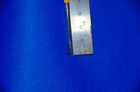 ������֥饷����������ǯ�����ʣӣɣǣΥ֥饷���澦�����μ̿�