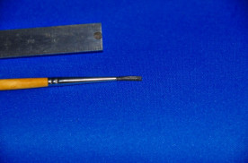 ������֥饷����������ǯ�����ʣӣɣǣΥ֥饷���澦�����μ̿�