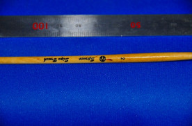 ������֥饷����������ǯ�����ʣӣɣǣΥ֥饷���澦�����μ̿�