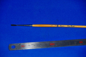 ������֥饷����������ǯ�����ʣӣɣǣΥ֥饷���澦�����μ̿�