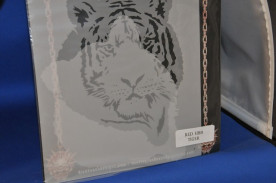 �ƥ�ץ졼�ȡʥ�������ڥ���ȡ��ˡ������������ƥ�ץ졼�����μ̿�