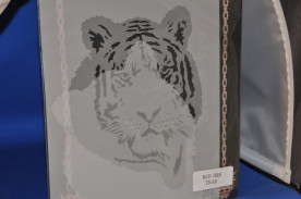 �ƥ�ץ졼�ȡʥ�������ڥ���ȡ��ˡ������������ƥ�ץ졼�����μ̿�