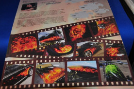 ���ͥ��ȴ��ġ��ƥ�ץ졼�ȡʥ�������ڥ���ȡ��������֥饷�ˡ��ȥ��롼�ե����䡼���ȣУ��ݣԣƣ����μ̿�