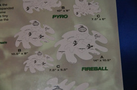 ���ͥ��ȴ��ġ��ƥ�ץ졼�ȡʥ�������ڥ���ȡ��������֥饷�ˡ��ȥ��롼�ե����䡼���ȣУ��ݣԣƣ����μ̿�