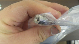 ͥȴġǡ661Ĺ󼫺ߥѥ