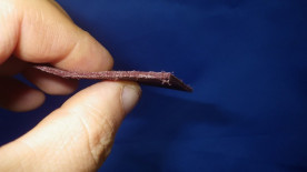 ���ץ롼���ѥå����ʡ����ꥸ�ʥ륵��ɥڡ��ѡ� �����