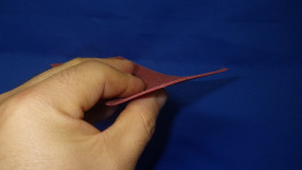 ���ץ롼���ѥå����ʡ����ꥸ�ʥ륵��ɥڡ��ѡ� �����