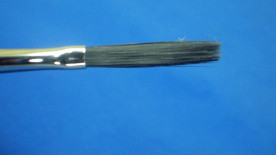 ���ץ롼�����꡼�����ե�åȡ�����������ʿɮ����������ǯ����