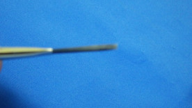 ���ץ롼�����꡼�����ե�åȡ�����������ʿɮ����������ǯ����