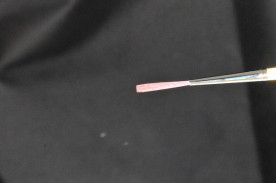 ���ץ롼����2017ǯ����쥿��󥰥֥饷���硼�ȥϡ��ɣ��桡���ʥ�������