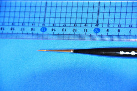 �ǥ��ơ���ޥ��������꡼���֥饷���ץ��ǥ��ե����奢�Υڥ���Ȥ�