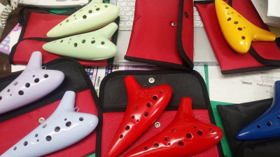 ��ë����Ź�������������