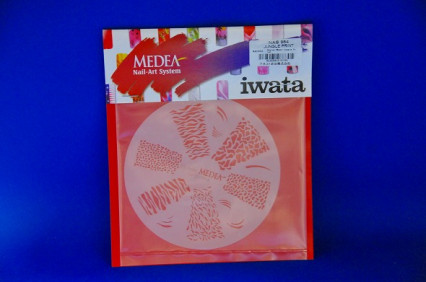 ���ͥ��ȴ��ġ��ͥ��륹�ƥ󥷥�ʥ������֥饷�ˡ��Σ��ӣ��������μ̿�