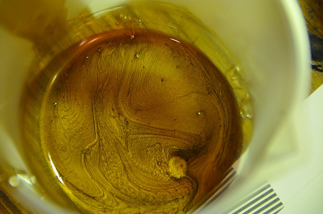 �裲����ë����Ź�����ֽ���ʥԥ󥹥ȡ˼̿���