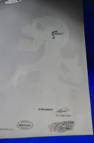 ���ͥ��ȴ��ġ��ƥ�ץ졼�ȡʥ�������ڥ���ȡ��������֥饷�ˡ��ƣȡݣӣˣ��ط����μ̿�