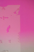 ͥȴġͥ륹ƥ󥷥ʥ֥饷ˡΣӡݣƣμ̿