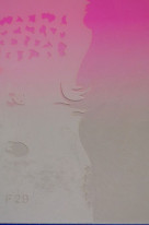ͥȴġͥ륹ƥ󥷥ʥ֥饷ˡΣӡݣƣμ̿