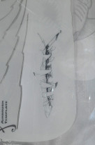 ���ͥ��ȥ��勵���ƥ�ץ졼�ȡʥ�������ڥ���ȡ��������֥饷�ˣȣУ�-��