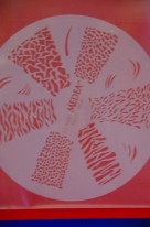 ���ͥ��ȴ��ġ��ͥ��륹�ƥ󥷥�ʥ������֥饷�ˡ��Σ��ӣ��������μ̿�