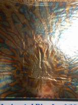 ���ͥ꡼�ե��꡼����Variegated Blue Leaf�������꡼�եѥå�