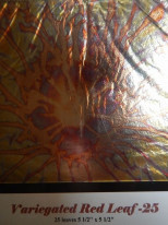 ���ͥ꡼�ե��꡼����Variegated Red Leaf�������꡼�եѥå�