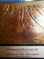 ���ͥ꡼�ե��꡼����Variegated Red Leaf�������꡼�եѥå�