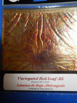 ���ͥ꡼�ե��꡼����Variegated Red Leaf�������꡼�եѥå�