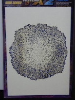 ���ңԣϣϣ̡��ͣɣΣɥ��꡼���������֥饷�ƥ�ץ졼��