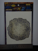 ���ңԣϣϣ̡��ͣɣΣɥ��꡼���������֥饷�ƥ�ץ졼��