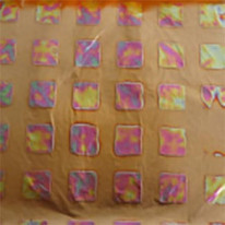 ͥ꡼ե꡼VAL04VariegatedRedSquareLeaf꡼ե֥åå
