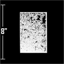 ����͢���ƥ�ץ졼�ȡʥ�������ڥ���ȡ��������֥饷�ˣȣ���������