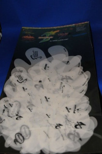 ���ͥ��ȴ��ġ��ƥ�ץ졼�ȡʥ�������ڥ���ȡ��������֥饷�ˡ��ȥ��롼�ե����䡼���ȣУ��ݣԣƣ����μ̿�