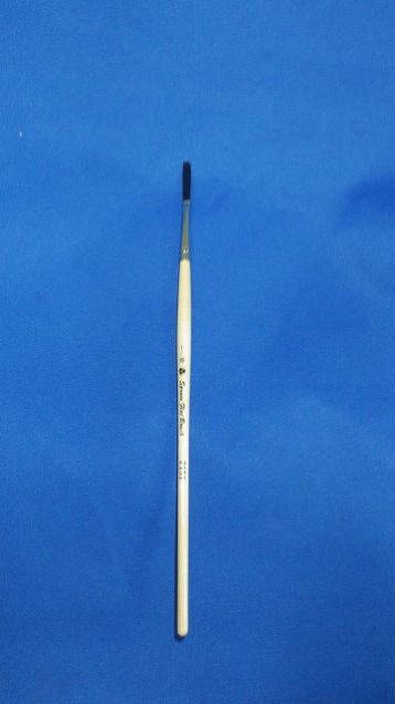 ���ץ롼�����꡼�����ե�åȡ�����������ʿɮ����������ǯ����